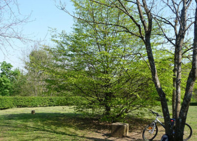 Arboretum de Plappeville